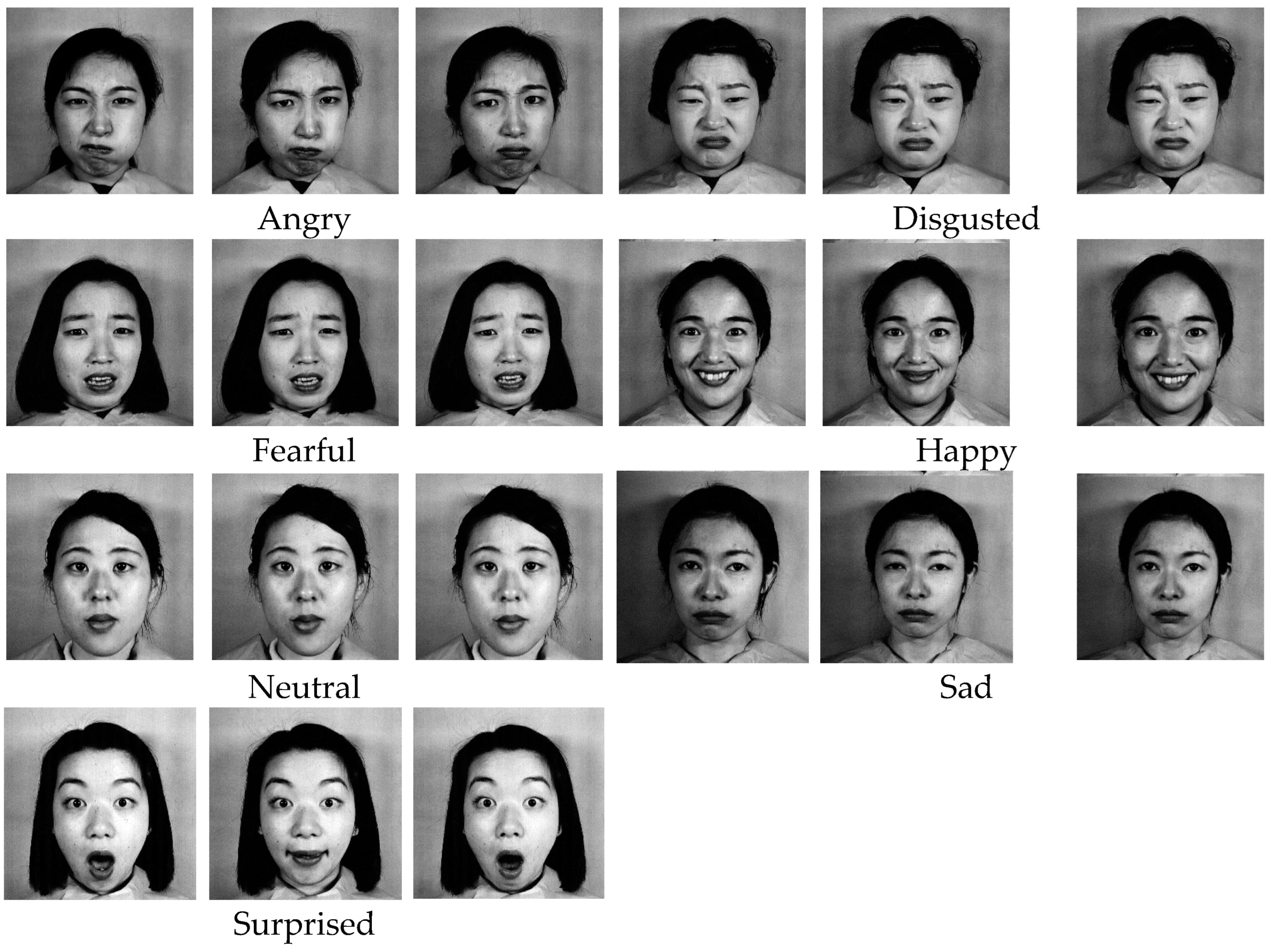 Emotion Detection with YOLO